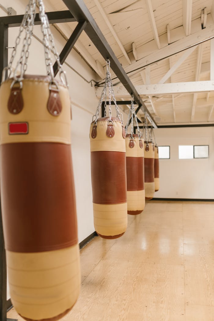 Line of hanging boxing bags in a well-lit, empty gym, ideal for sports training.